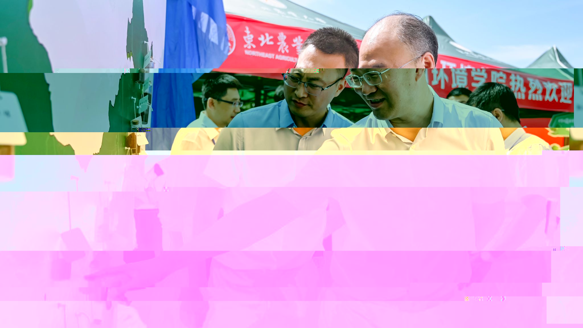 3BC09